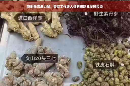 新时代青年力量，青联工作收入证明与职业发展探索