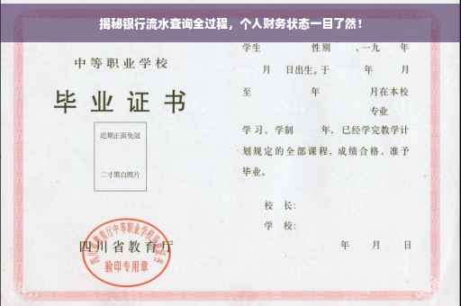揭秘银行流水查询全过程，个人财务状态一目了然！