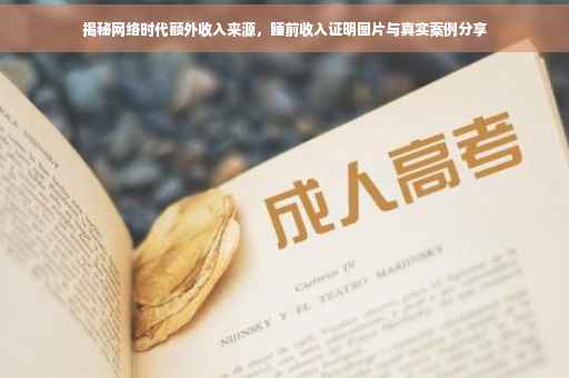 揭秘网络时代额外收入来源，睡前收入证明图片与真实案例分享