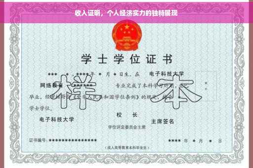 收入证明，个人经济实力的独特展现