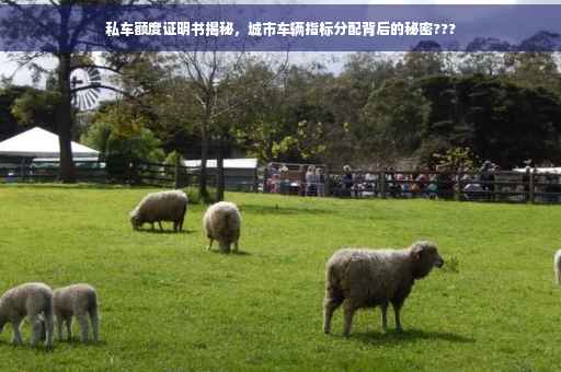 私车额度证明书揭秘，城市车辆指标分配背后的秘密???