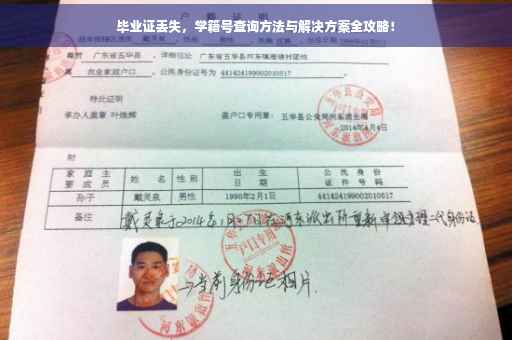 毕业证丢失，学籍号查询方法与解决方案全攻略！