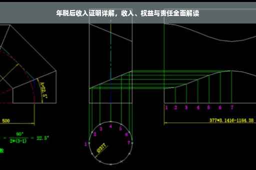 年税后收入证明详解，收入、权益与责任全面解读