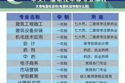 大专电算化证书(电算化证书有什么用)