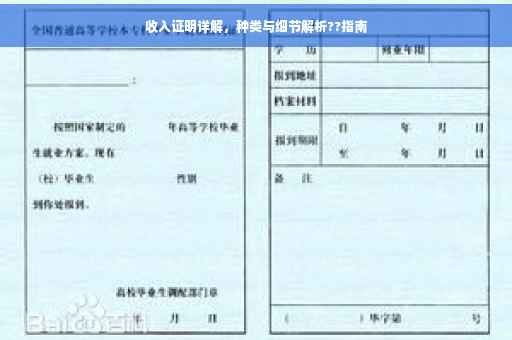 收入证明详解，种类与细节解析??指南