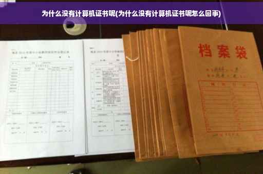 为什么没有计算机证书呢(为什么没有计算机证书呢怎么回事)