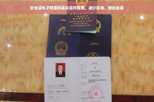 毕业证电子档原件丢失应对指南，减少影响，规划未来