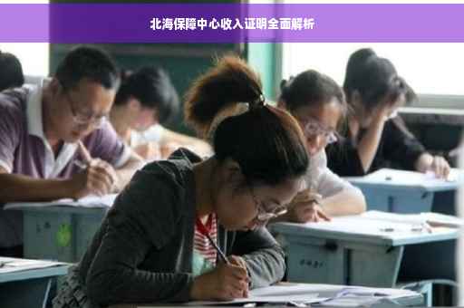 北海保障中心收入证明全面解析