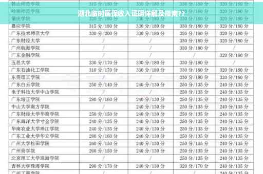 湖北临时医保收入证明详解及指南??