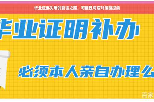 毕业证丢失后的复读之路，可能性与应对策略探索