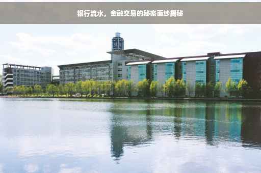银行流水，金融交易的秘密面纱揭秘