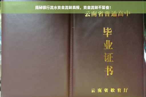 揭秘银行流水资金流转真相，资金流转不留夜！