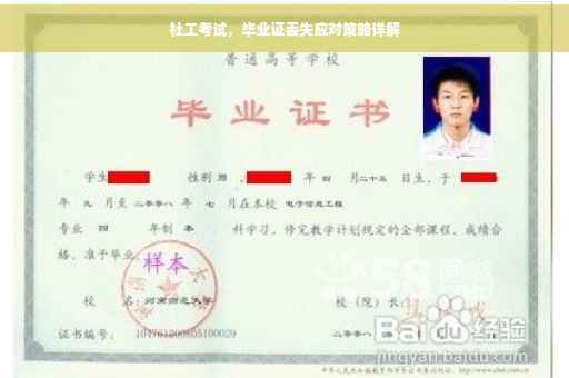 社工考试，毕业证丢失应对策略详解