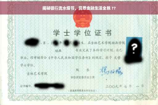 揭秘银行流水细节，洞悉金融生活全貌 ??