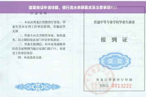 德国签证申请详解，银行流水余额要求及注意事项?⚡️
