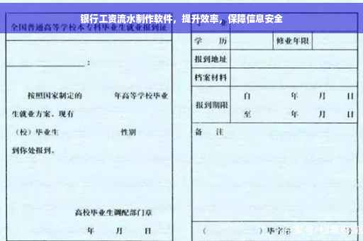 银行工资流水制作软件，提升效率，保障信息安全