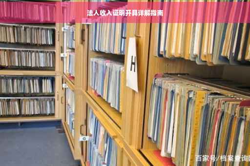 法人收入证明开具详解指南