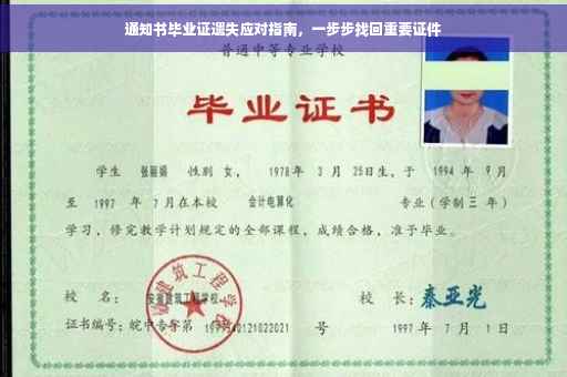 通知书毕业证遗失应对指南，一步步找回重要证件