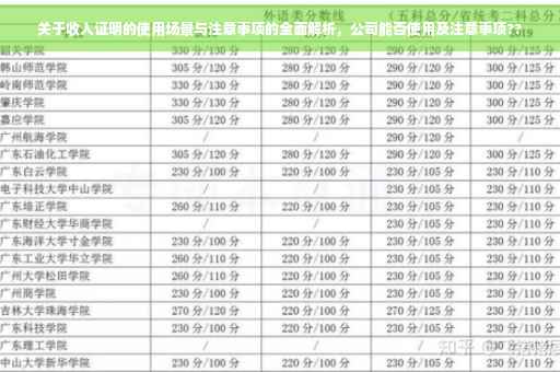 关于收入证明的使用场景与注意事项的全面解析，公司能否使用及注意事项??