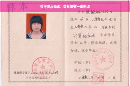 银行流水概览，交易细节一览无遗
