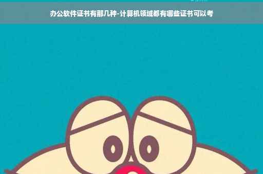 办公软件证书有那几种-计算机领域都有哪些证书可以考