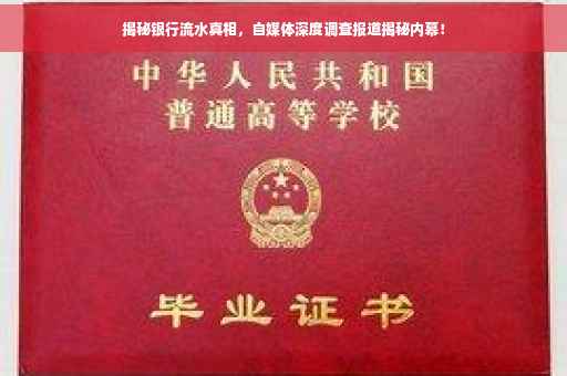 揭秘银行流水真相，自媒体深度调查报道揭秘内幕！