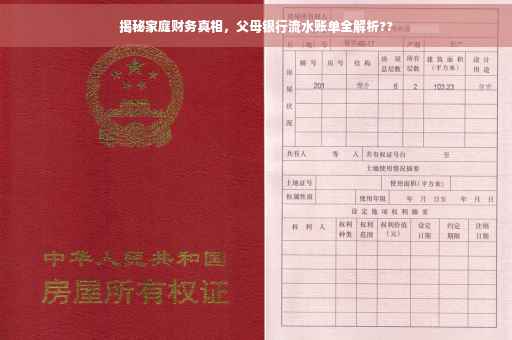 揭秘家庭财务真相，父母银行流水账单全解析??