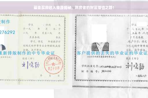基金买房收入来源揭秘，购房者的财富增值之路！