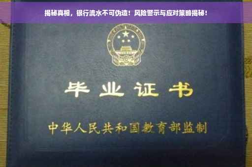 揭秘真相，银行流水不可伪造！风险警示与应对策略揭秘！