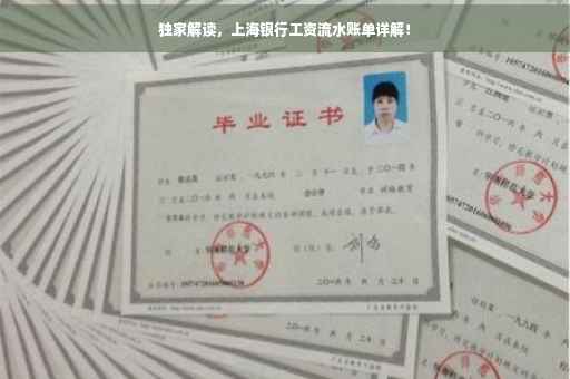 独家解读，上海银行工资流水账单详解！