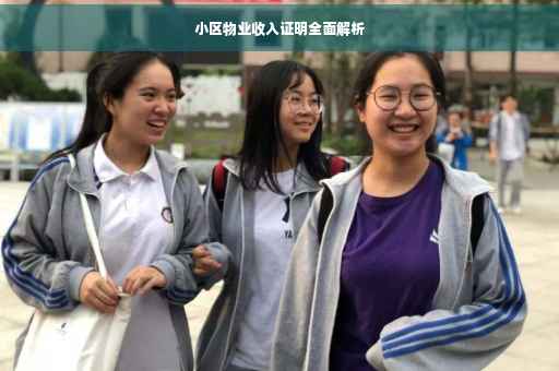 小区物业收入证明全面解析