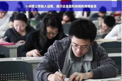 小规模公司收入证明，揭示企业盈利真相的真相报告