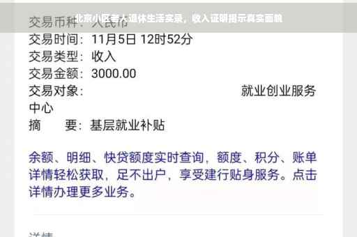 北京小区老人退休生活实录，收入证明揭示真实面貌