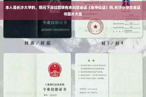 本人是长沙大学的，想问下没过四级有本科毕业证〔非学位证〕吗,长沙小学毕业证书图片大全