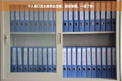 个人银行流水查看全攻略，轻松掌握，一目了然！