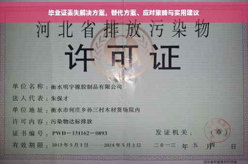 毕业证丢失解决方案，替代方案、应对策略与实用建议