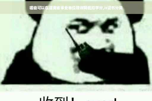 哪些可以在湖南省事业单位培训网抵扣学分,it证书分类