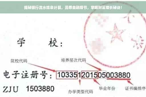 揭秘银行流水结息计算，洞悉金融细节，掌握财富增长秘诀！