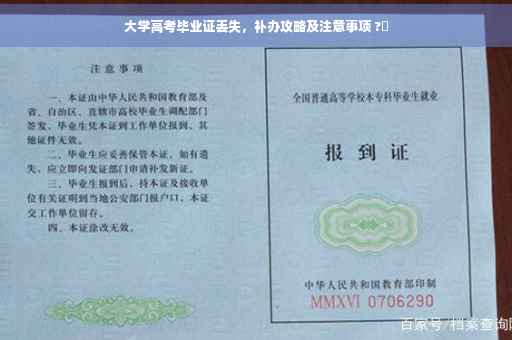 大学高考毕业证丢失，补办攻略及注意事项 ?✨