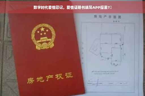 数字时代爱情印记，爱情证明书填写APP探索?✨