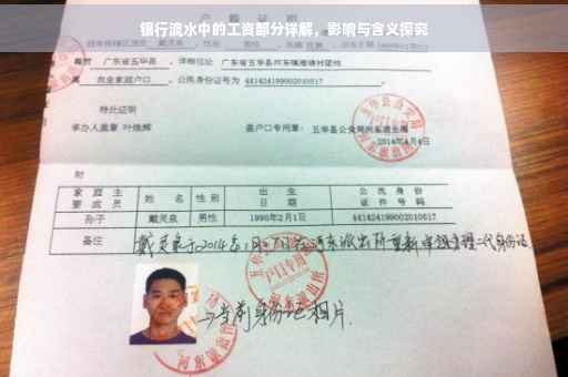 银行流水中的工资部分详解，影响与含义探究