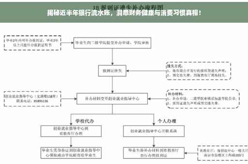 揭秘近半年银行流水账，洞悉财务健康与消费习惯真相！