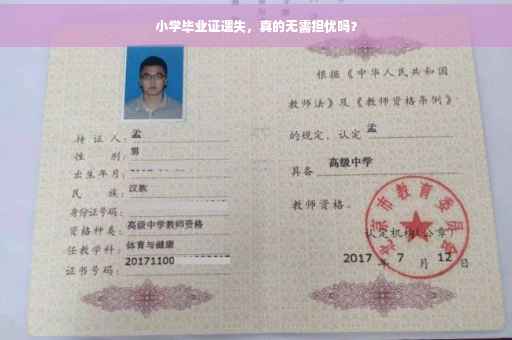 小学毕业证遗失，真的无需担忧吗？