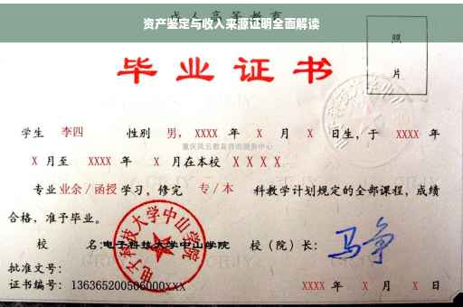 资产鉴定与收入来源证明全面解读