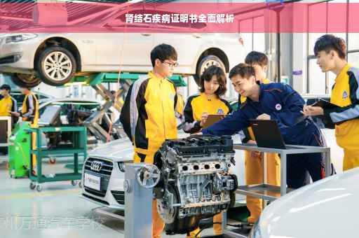 肾结石疾病证明书全面解析