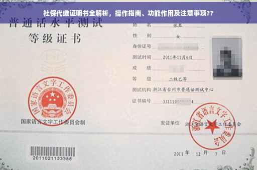 社保代缴证明书全解析，操作指南、功能作用及注意事项??