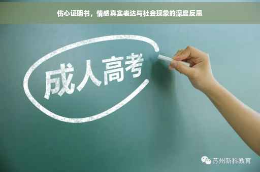伤心证明书，情感真实表达与社会现象的深度反思