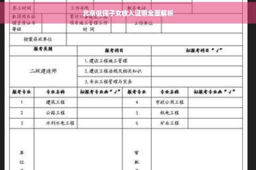 北京低保子女收入证明全面解析