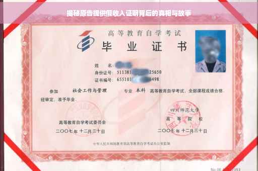揭秘原告提供假收入证明背后的真相与故事