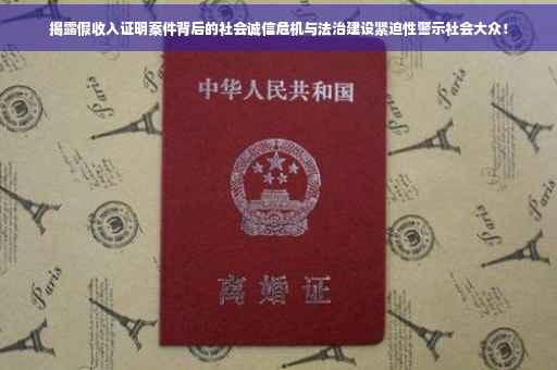 揭露假收入证明案件背后的社会诚信危机与法治建设紧迫性警示社会大众！